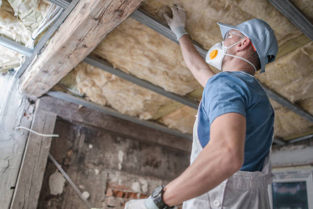 Best Residential Insulation in Altamont, NY